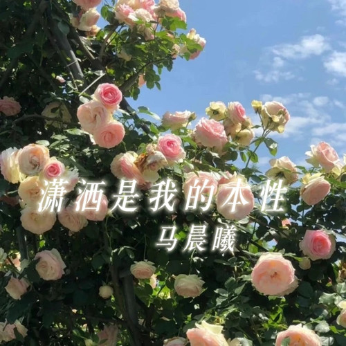潇洒是我的本性