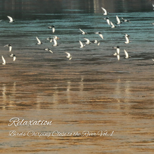 Relaxation: Birds Chirping Close to the River Vol. 1