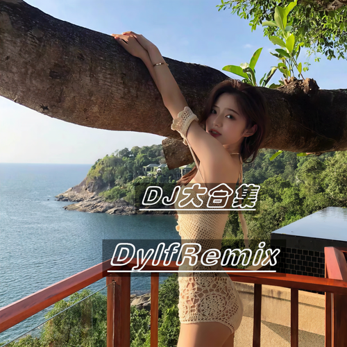 DJ大合集