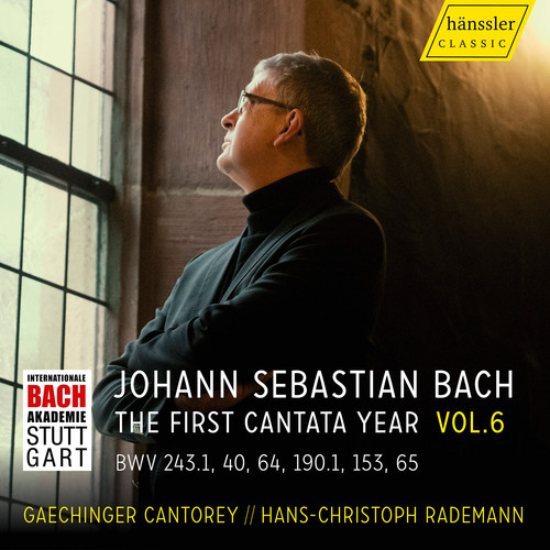 Vision. Bach, Vol. 6