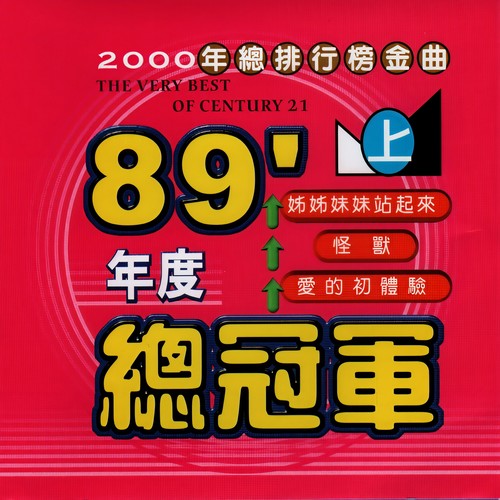 89年度总冠军上