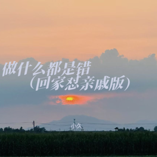 做什么都是错