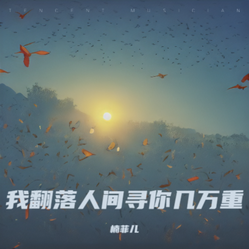 我翻落人间寻你几万重