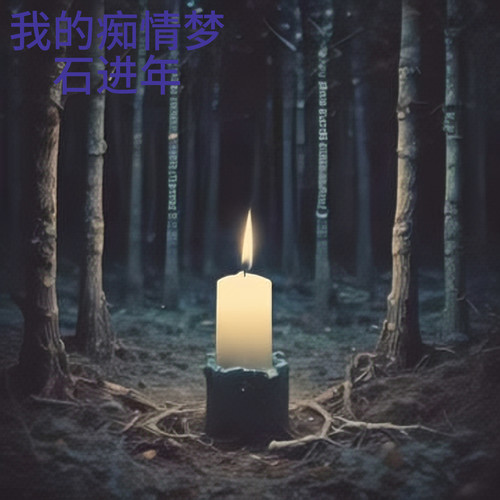 我的痴情梦