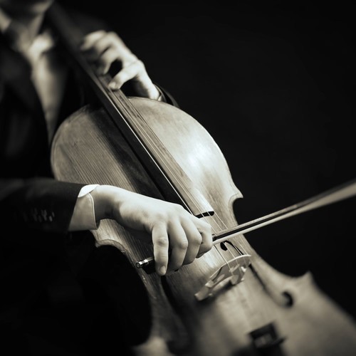 Orchestra Escape: Symphony for Calm