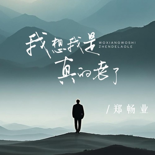 我想我是真的老了