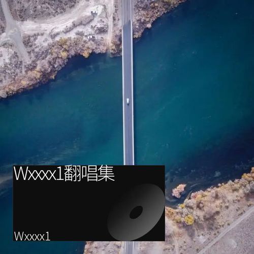 Wxxxx1翻唱集