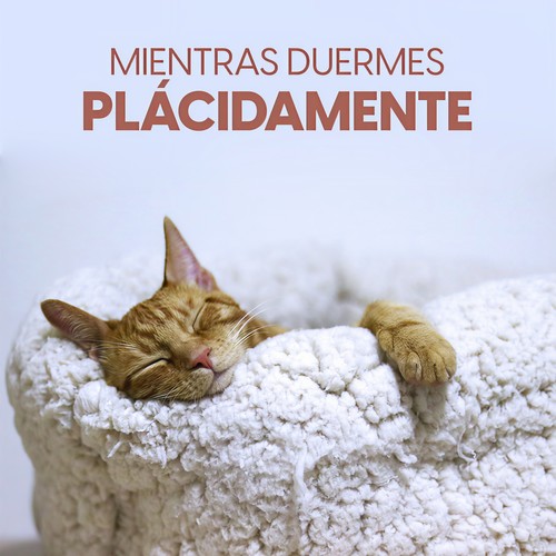 Mientras duermes plácidamente (Explicit)