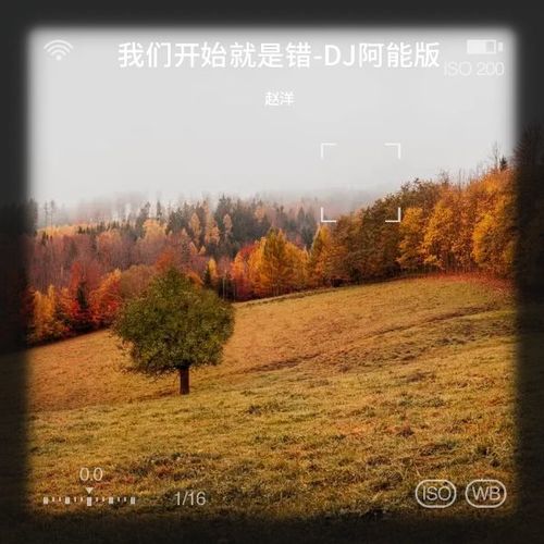 我们开始就是错-DJ阿能版