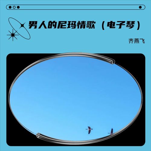 男人的尼玛情歌（电子琴）
