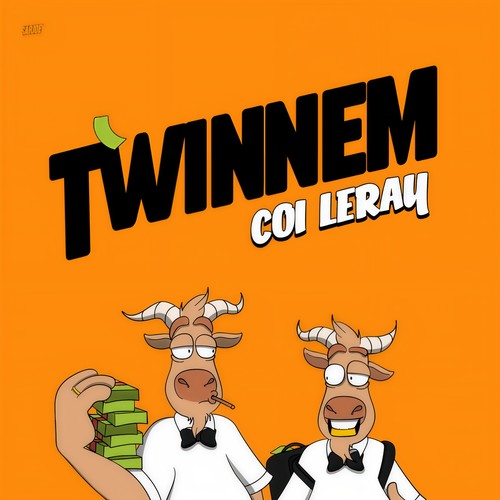 TWINNEM