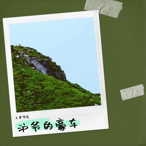沪爷的豪车
