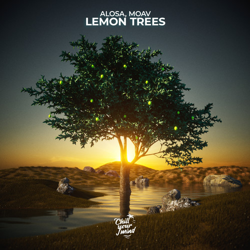 Lemon Trees