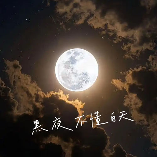 黑夜不懂白天