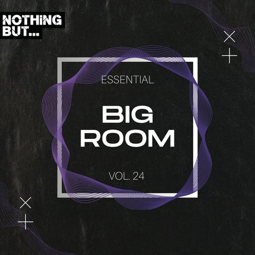 Nothing But... Essential Big Room, Vol. 24 (Explicit)