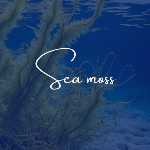 Sea Moss