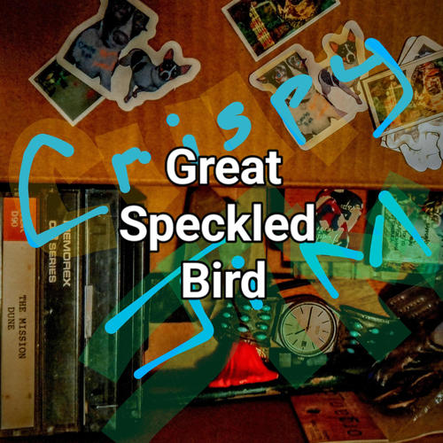 Great Speckled Bird
