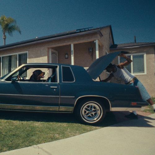 DOGS IN THE FRONT YARD (Explicit)