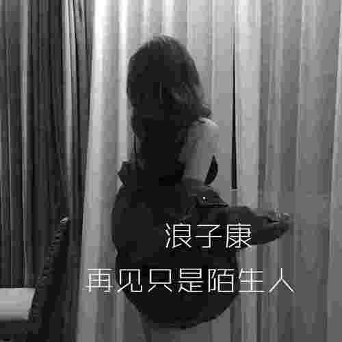 再见只是陌生人