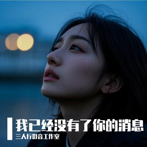 我已经没有了你的消息（男声版）
