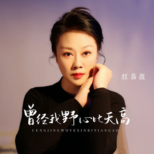 曾经我野心比天高