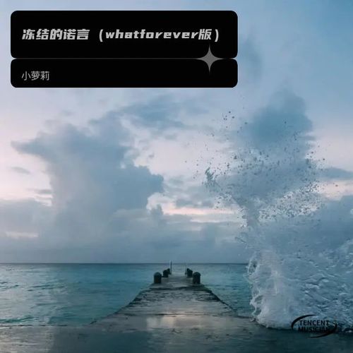 冻结的诺言    （抖音未来版）
