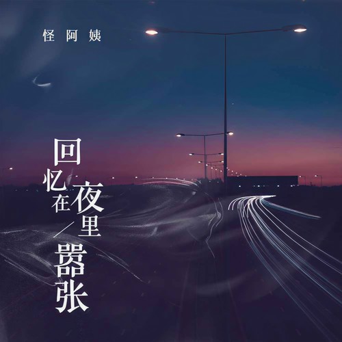 回忆在夜里嚣张(DJ京仔版)