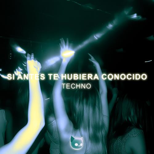 Si Antes Te Hubiera Conocido (Techno Mix)