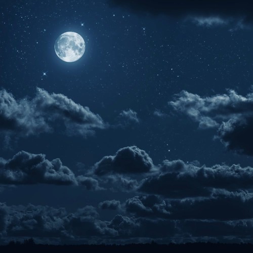 Peaceful Rest: Gentle Sounds for Quiet Nights