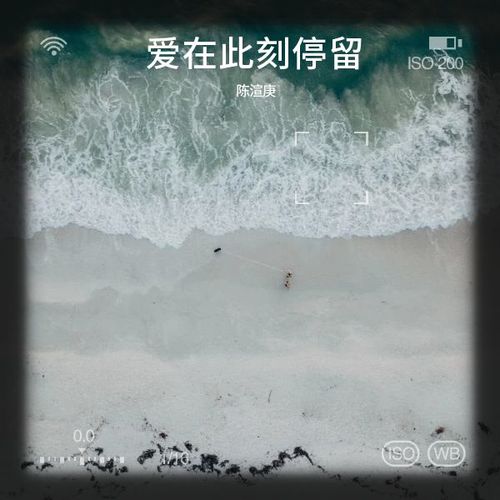 爱在此刻停留