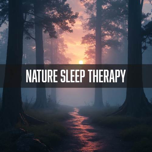 Soothing Rainfall: Sleep, Relax & Meditate with Nature