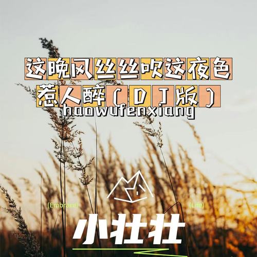 这晚风丝丝吹这夜色惹人醉（DJ版）
