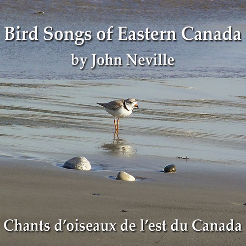 Bird Songs of Eastern Canada