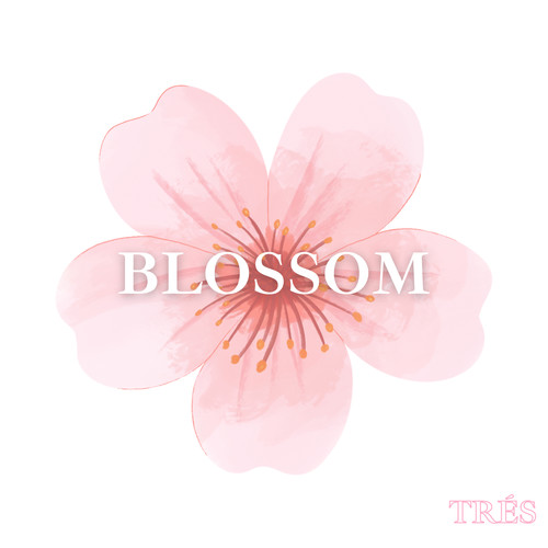 Blossom