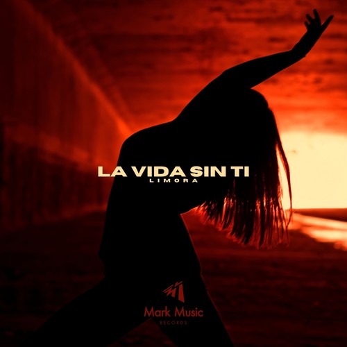 La Vida Sin Ti
