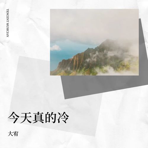 今天真的冷