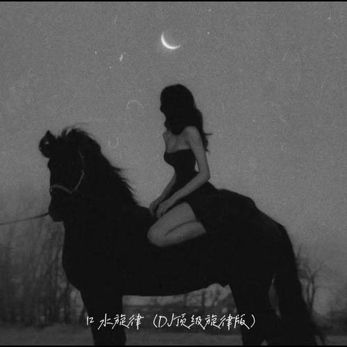 口水旋律 (DJ顶级旋律版)
