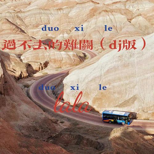 过不去的难关（dj版）
