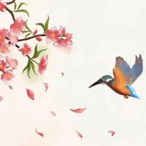 花开又花谢