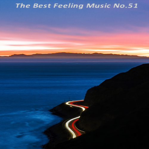 The Best Feeling Music No.51