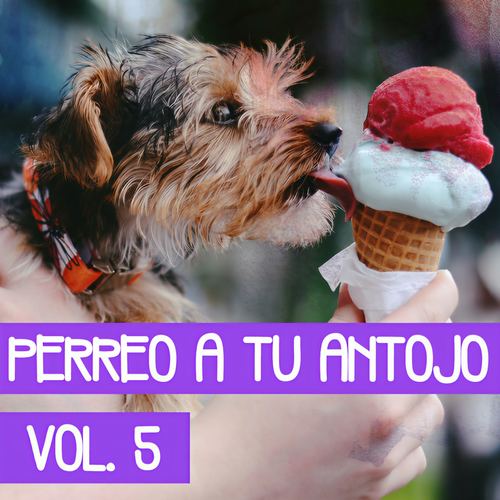 Perreo A Tú Antojo Vol. 5 (Explicit)