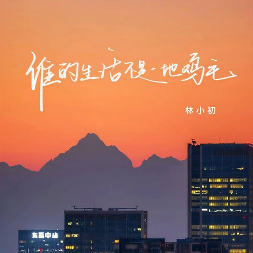 谁的生活不是一地鸡毛