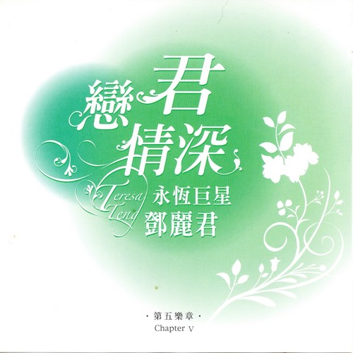 恋君情深 永恒巨星 邓丽君 第五乐章