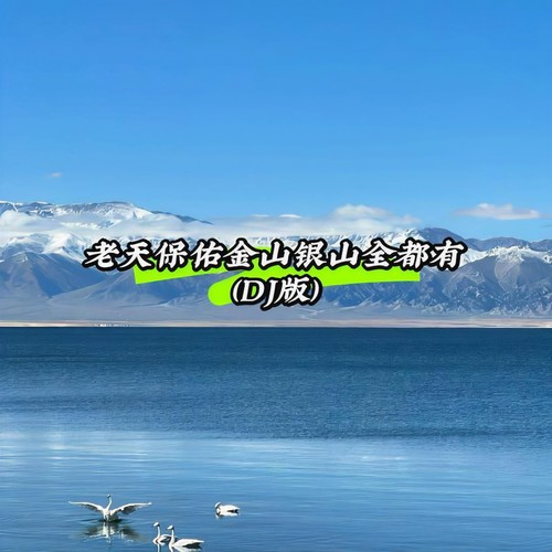 老天保佑金山银山全都有 (DJ版)