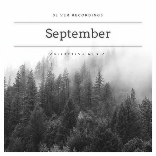 Sliver Recordings: September Collection Music