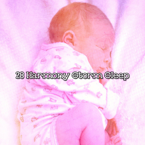 28 Harmony Storm Sleep