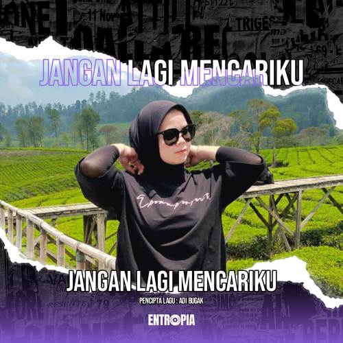 Jangan Lagi Mencariku (Remix)