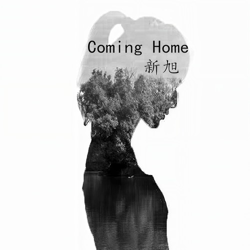 Coming Home