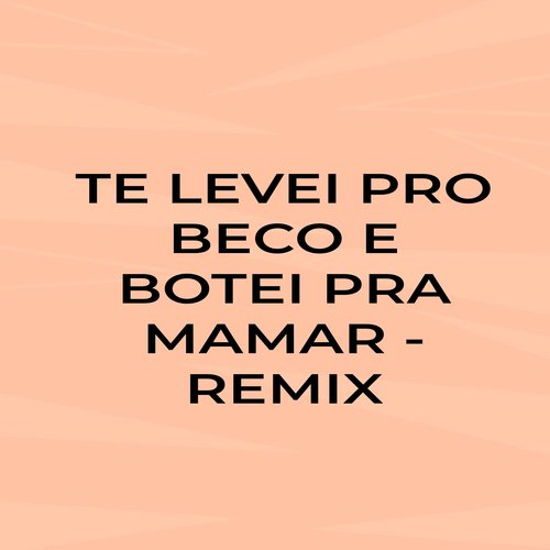 Te Levei pro Beco e Botei pra Mamar (Remix) [Explicit]