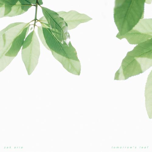 tomorrow's leaf